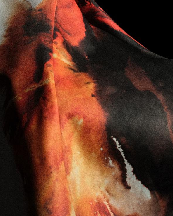 数次清晨的 数次清晨的